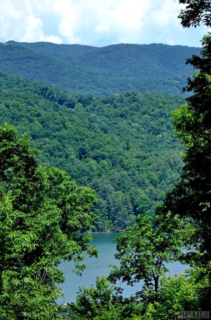 968 Shepherds Gap Road Cullowhee, NC 28723 - Photo 21 of 25 Gallery Image 21