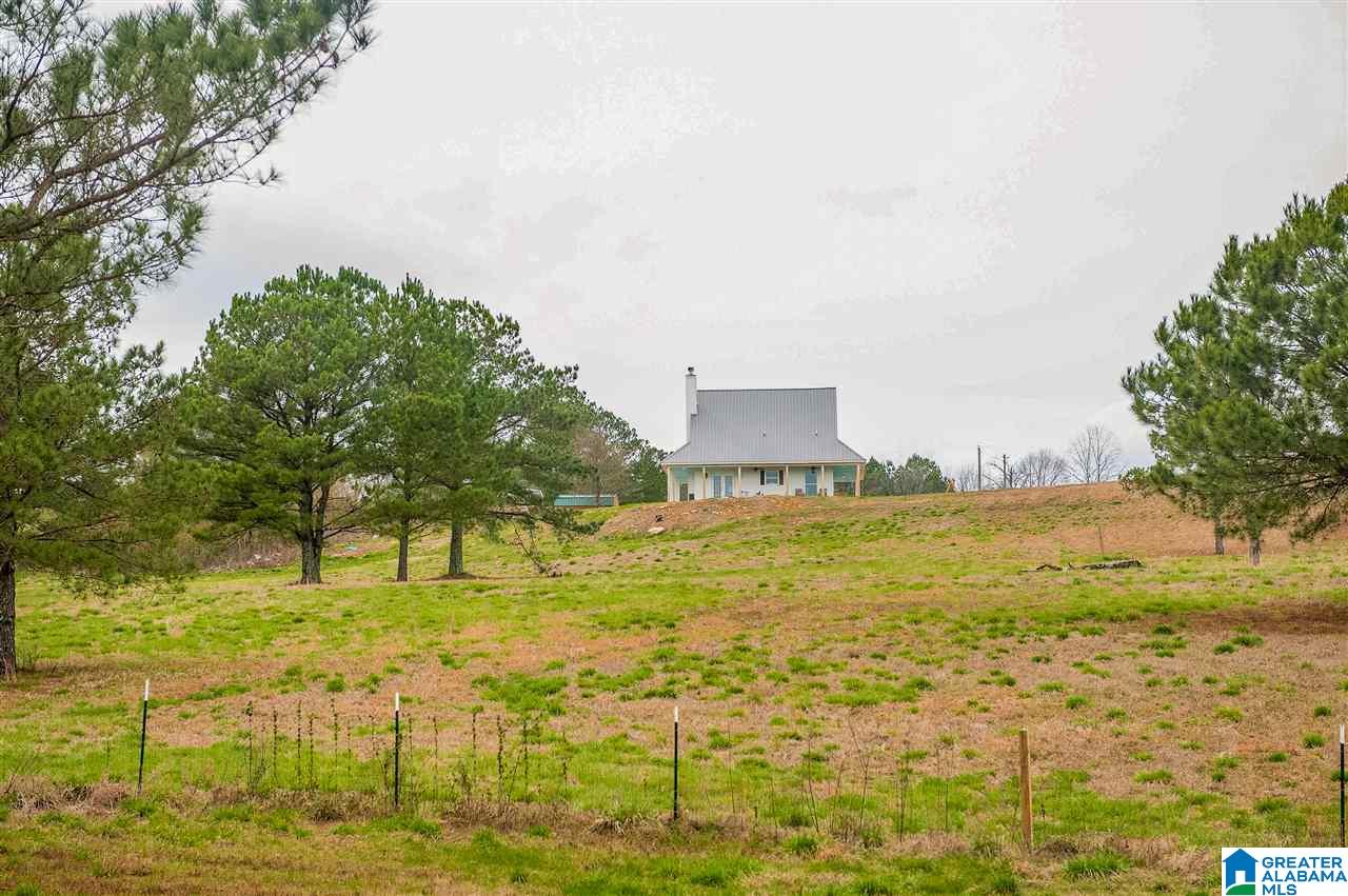 1085 Jones Chapel Loop Springville, AL 35146 - Photo 22 of 32