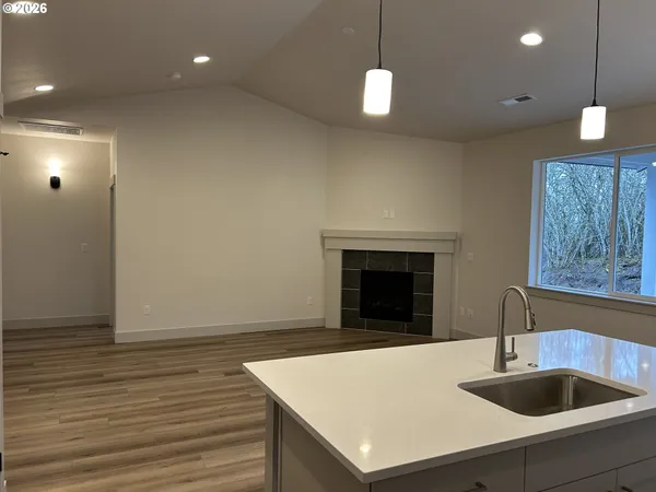 a kitchen with a sink and a fireplace