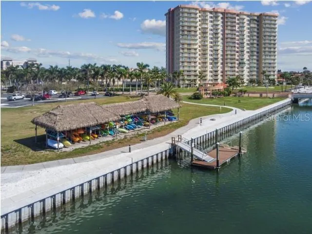 a view of a palm tree next to a yard