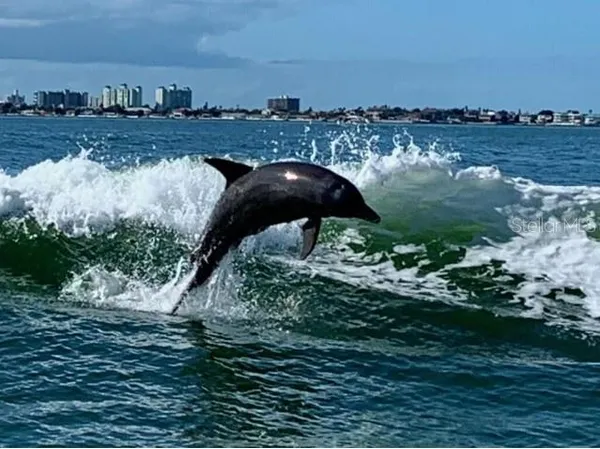 $3,000 | 5200 Brittany Drive South, Unit 1510, St. Petersburg, FL 33715