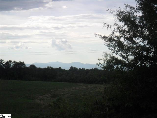 Six Mile Sc 29682 Road Six Mile, SC 29682 - Photo 1 of 1 Gallery Image 1
