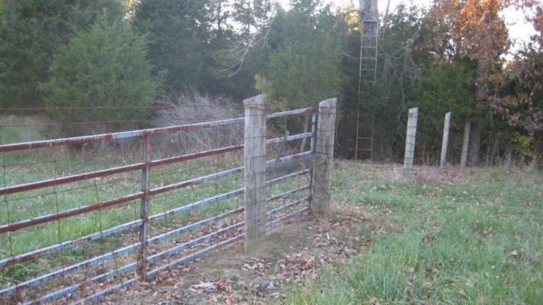 1600 Cullpepper Road Corinth, KY 41010 - Photo 20 of 28 Photo 20