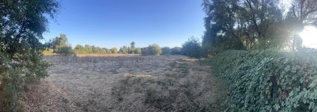 a view of a yard and mountain view