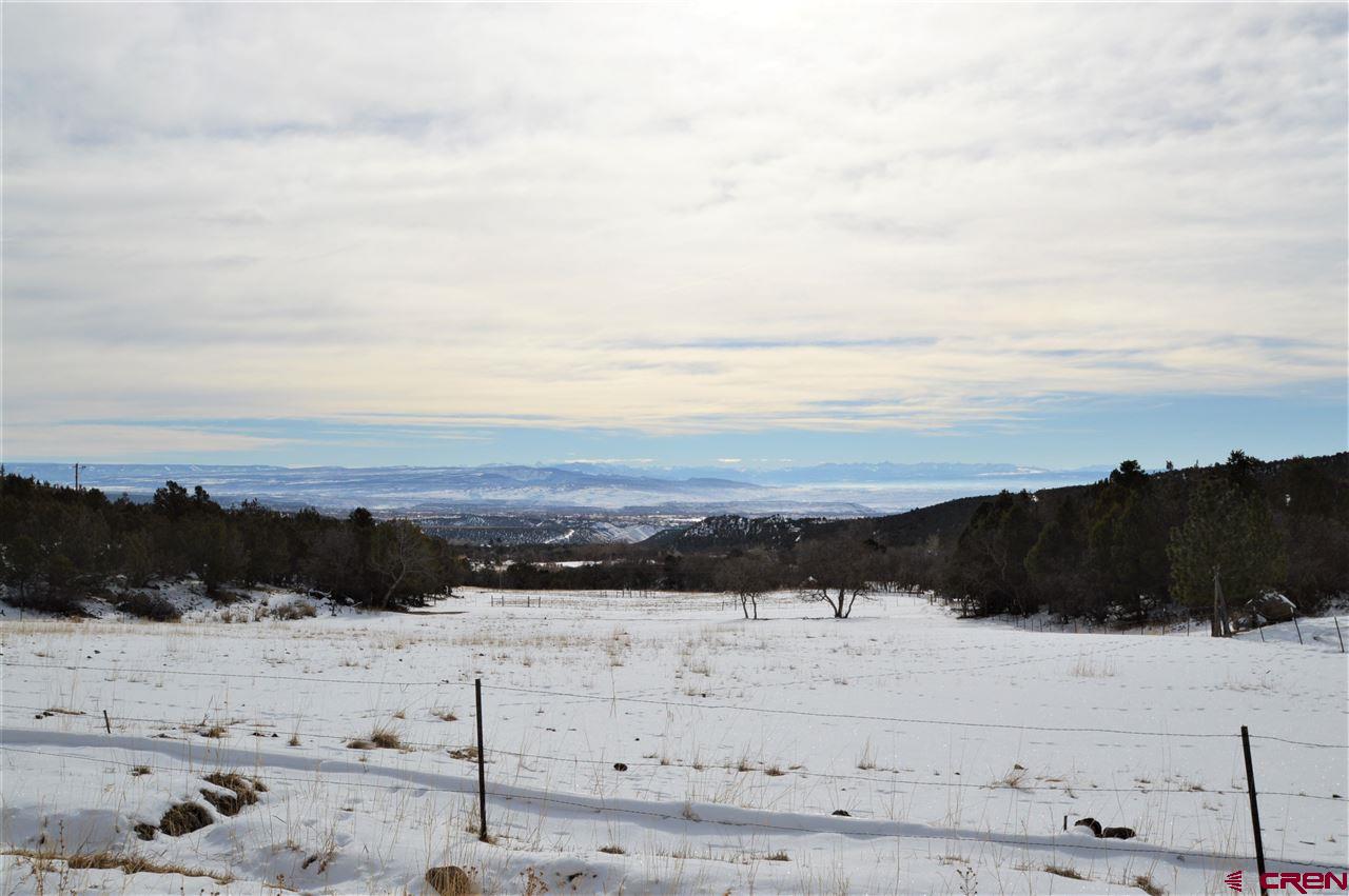 20045 High Park Road Cedaredge, CO 81413 - Photo 24 of 30 Gallery Image 24