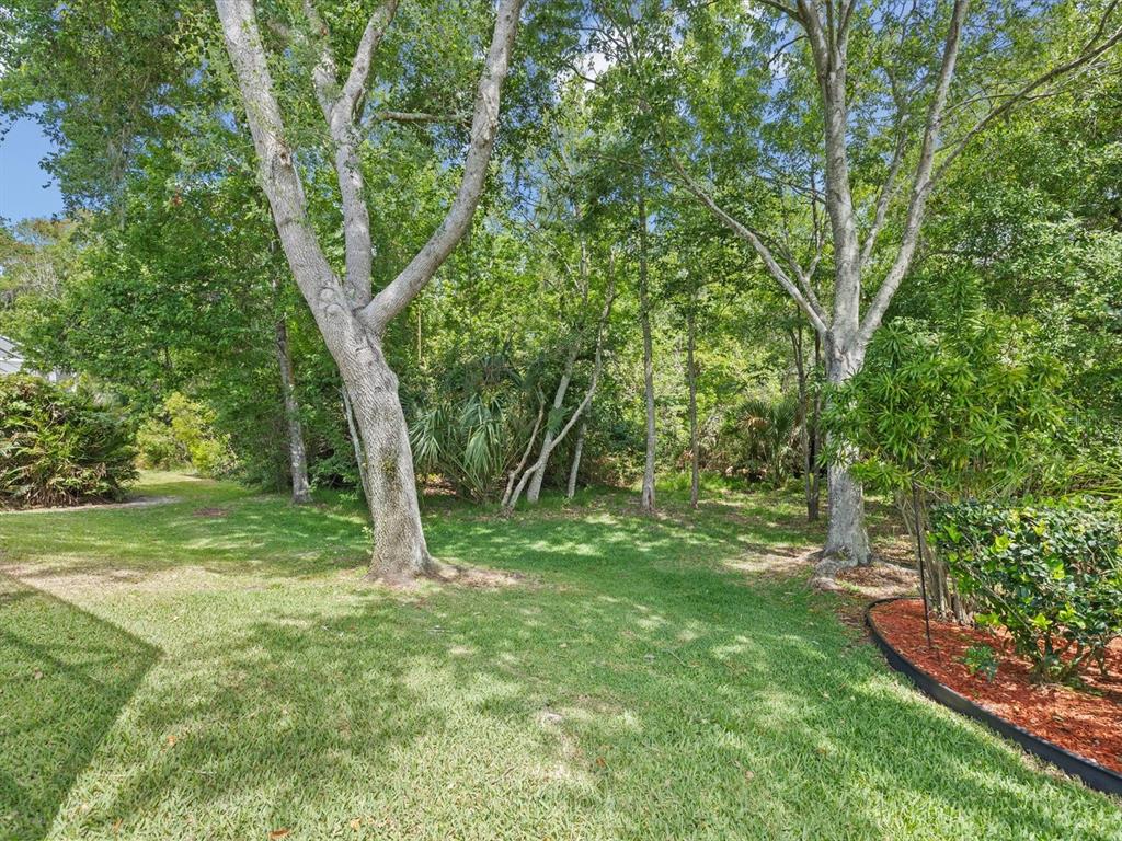 7935 Calindra Court Trinity, FL 34655 - Photo 4 of 52 a view of a trees in a yard