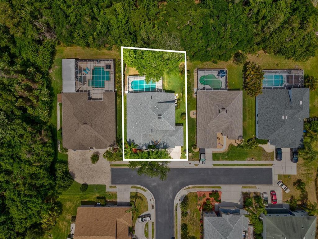 7935 Calindra Court Trinity, FL 34655 - Photo 46 of 52 an aerial view of a house with outdoor space