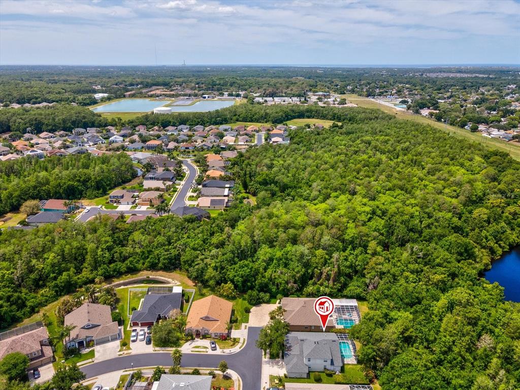 7935 Calindra Court Trinity, FL 34655 - Photo 47 of 52 an aerial view of residential houses with outdoor space and trees