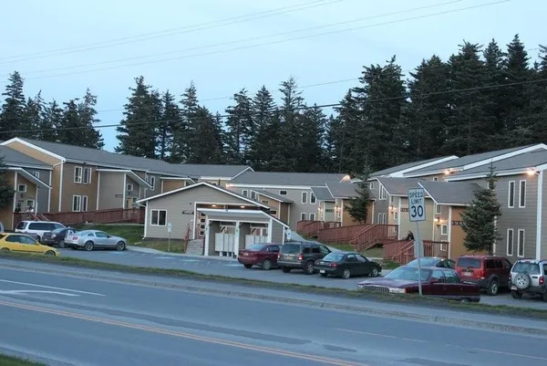 a car parked in front of a house