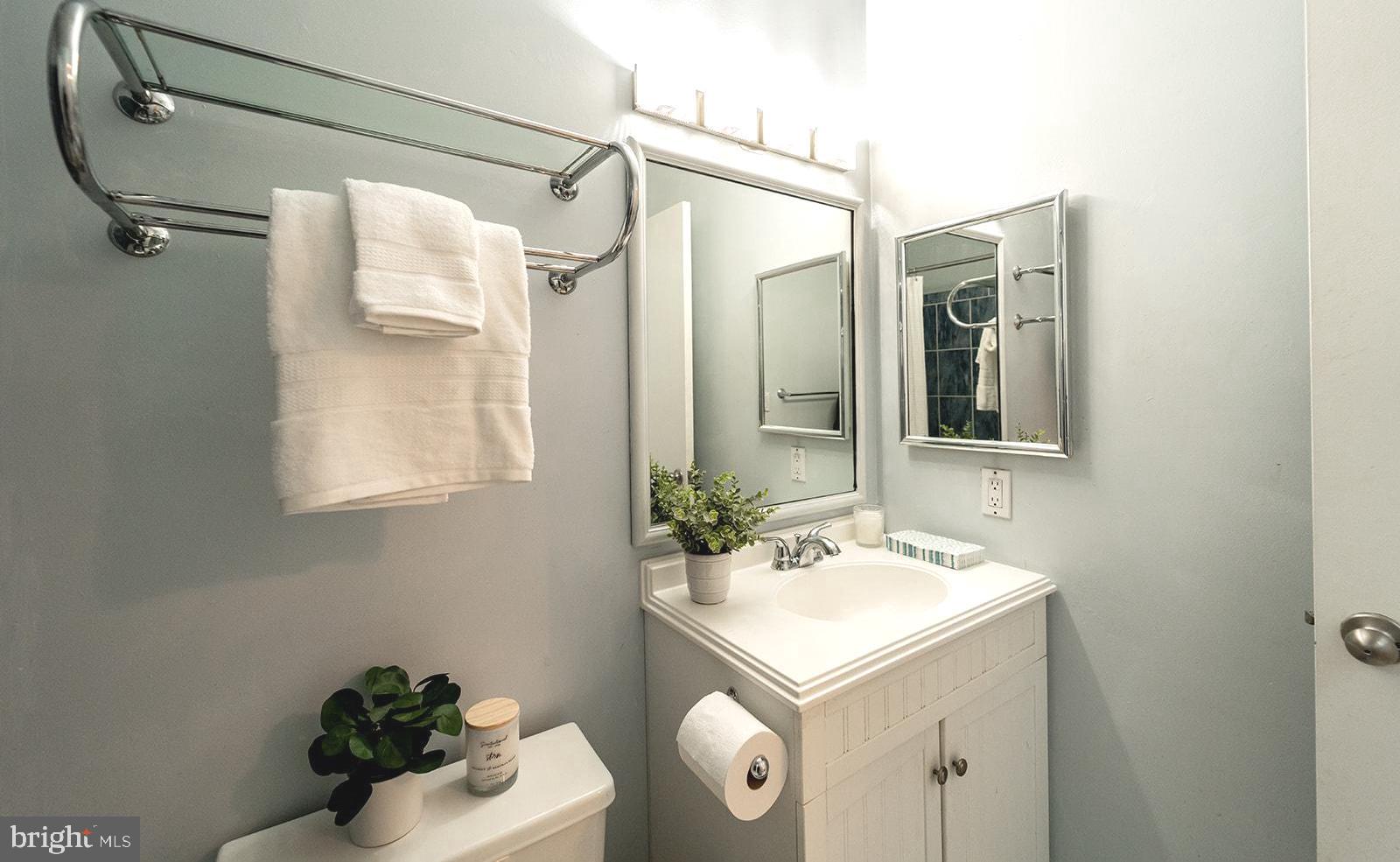 1017 Timber Creek Drive Annapolis, MD 21403 - Photo 21 of 33 Hallway Bathroom Vanity
