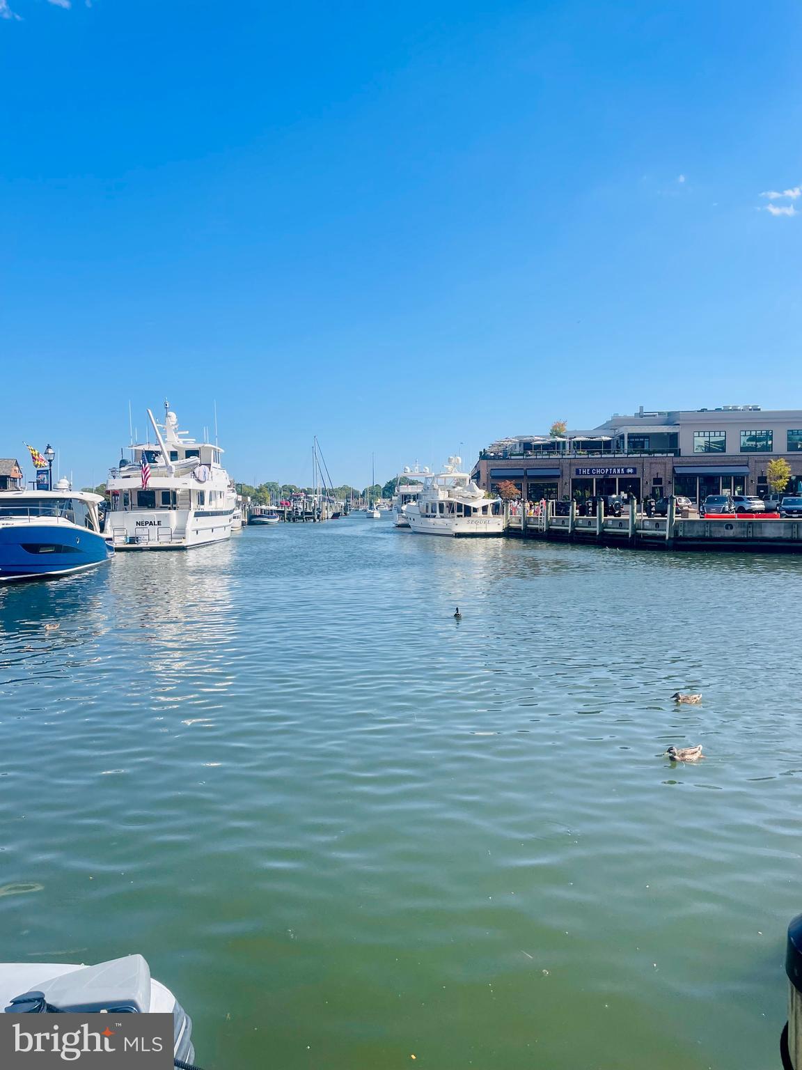 1017 Timber Creek Drive Annapolis, MD 21403 - Photo 29 of 33 Ego Alley