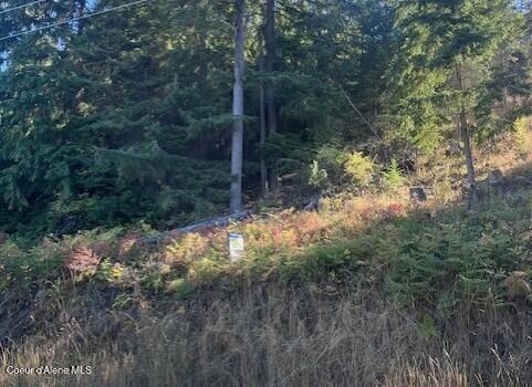 97 Harrison Id 83833 Harrison, ID 83833 - Photo 2 of 10 Building step