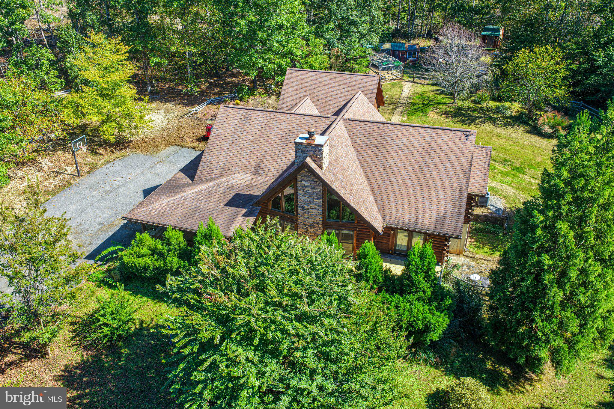 2169 Beaver Dam Road Midland, VA 22728 - Photo 95 of 105 Trees surrounding house for privacy