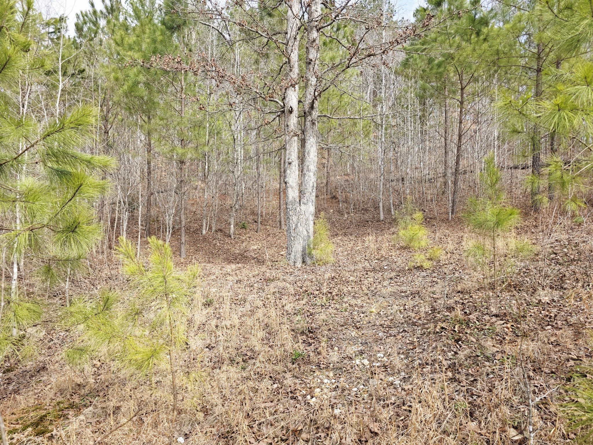 0 Birdsong Road Holladay, TN 38341 - Photo 35 of 70