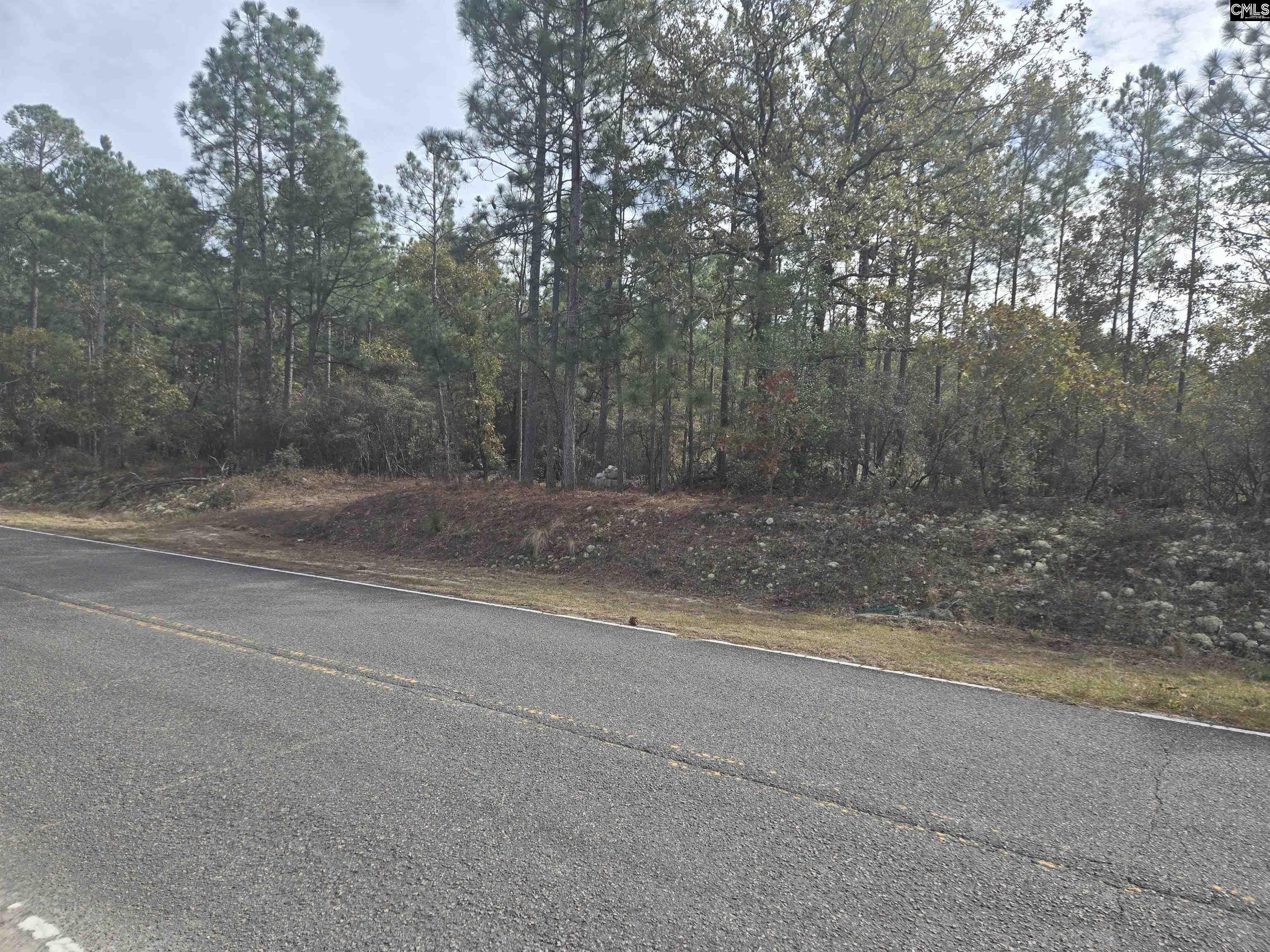 0 Ben Franklin Road Gilbert, SC 29054 - Photo 2 of 5