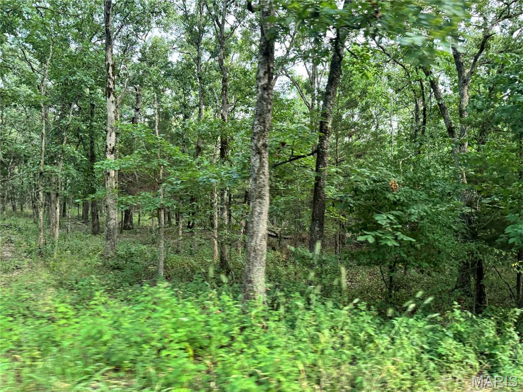 556 Waterford Road Gerald, MO 63037 - Photo 7 of 11