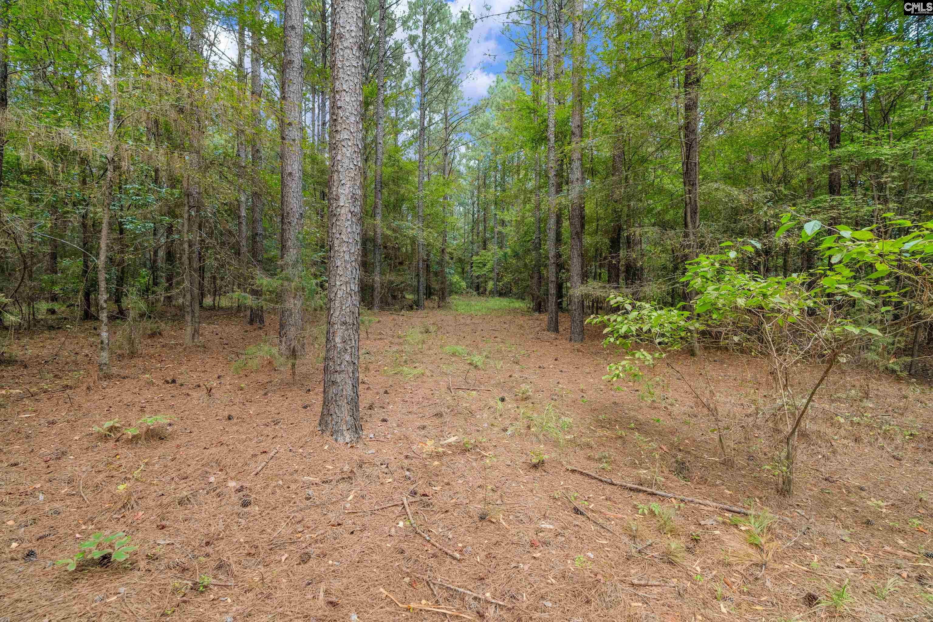 0 Penner Road, Unit 10 Jenkinsville, SC 29065 - Photo 35 of 43