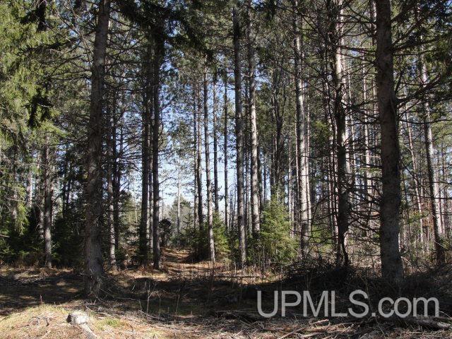 T-wi Walton Road Dunbar, WI 54119 - Photo 1 of 1