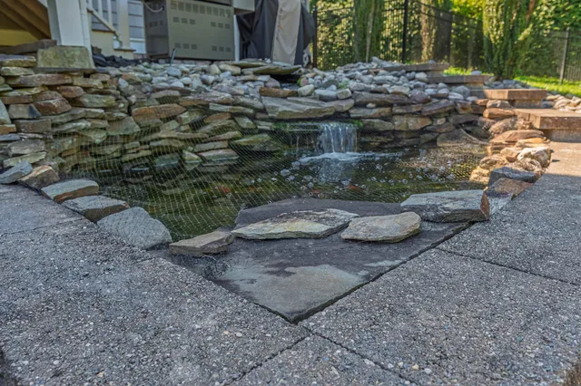a view of a backyard with plants and trees