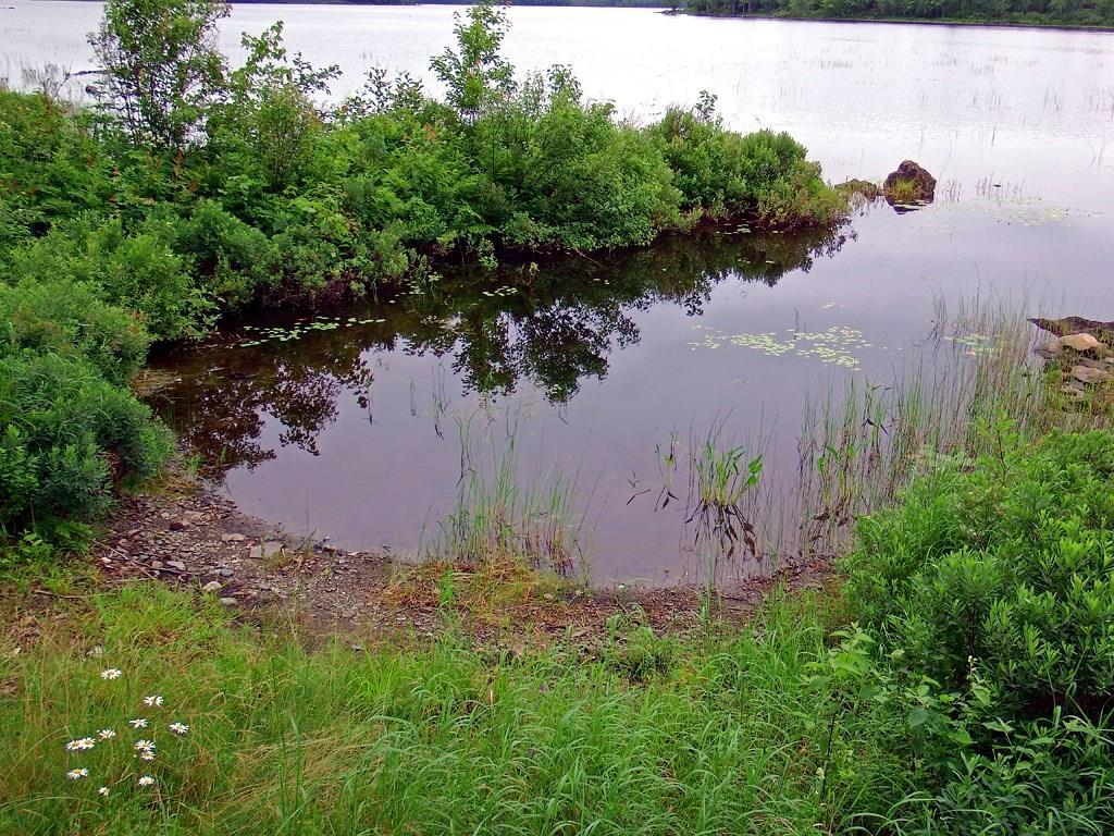 1419 Springfield Road Danforth, ME 04424 - Photo 7 of 34 Photo
