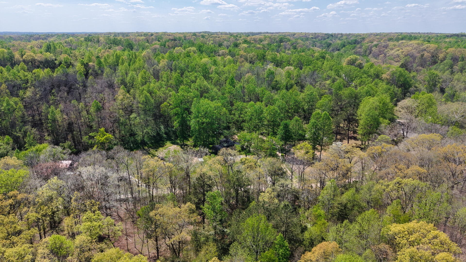 0 Brown Hollow Road Lyles, TN 37098 - Photo 8 of 18