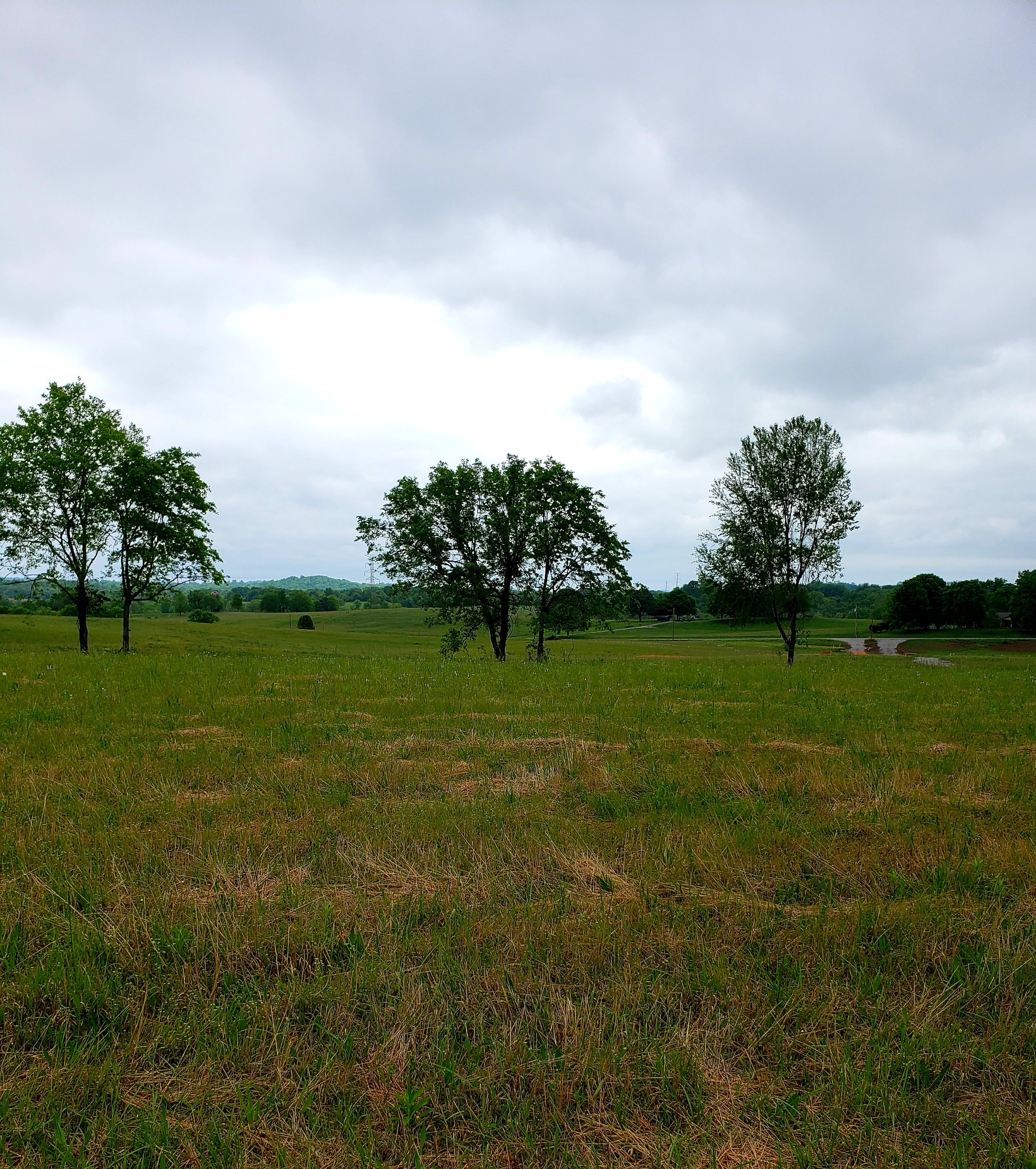 3 B Boyd Butler Road Columbia, TN 38401 - Photo 2 of 7 a view of a golf course with a garden