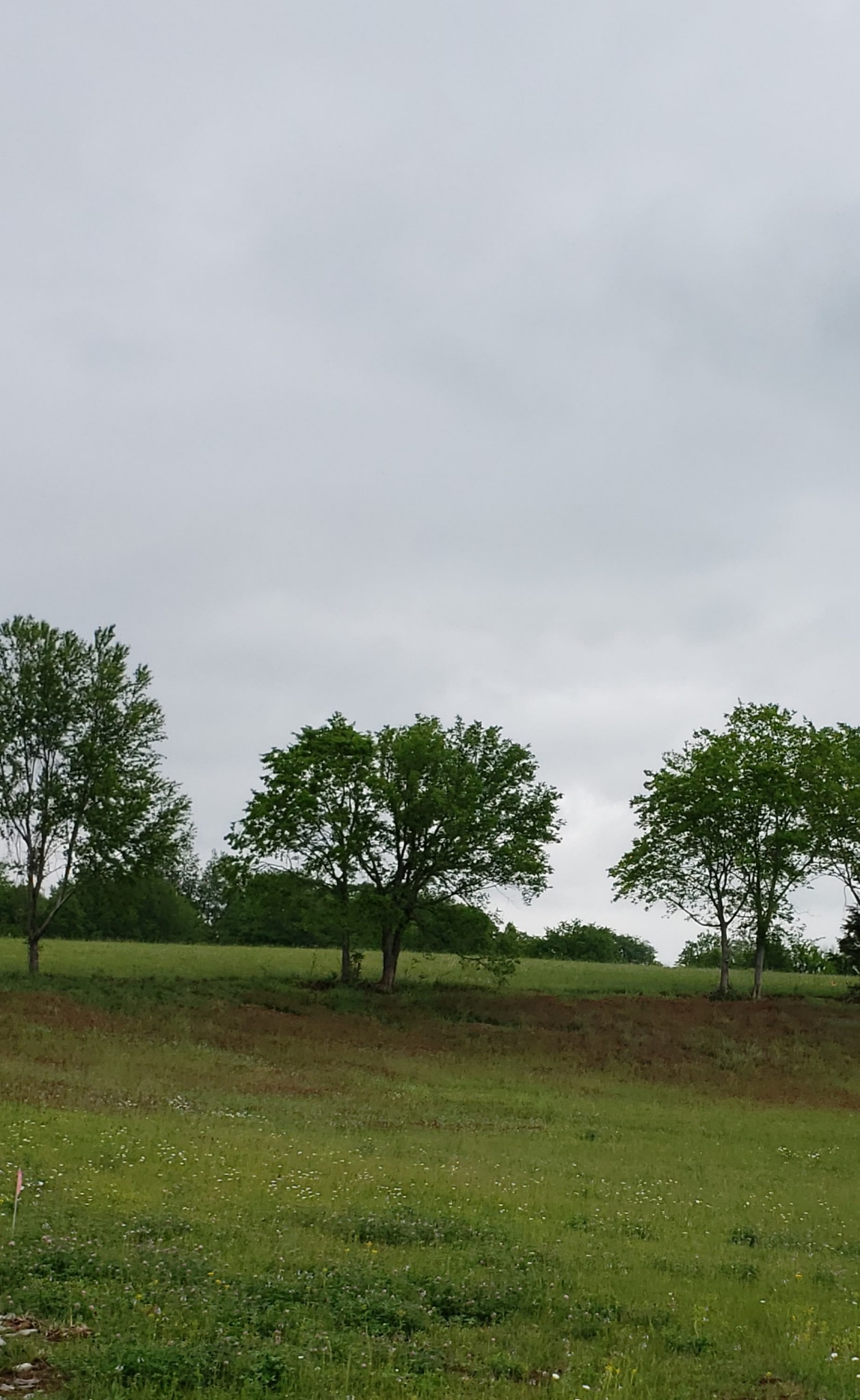3 B Boyd Butler Road Columbia, TN 38401 - Photo 7 of 7
