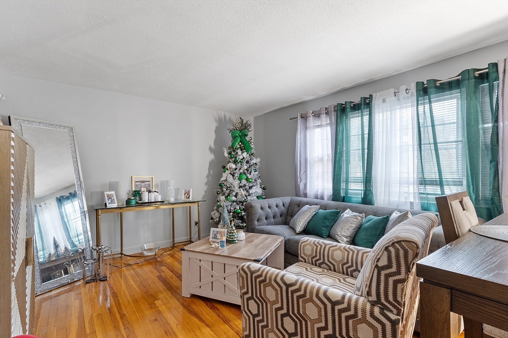 10 Everett Avenue Boston, MA 02125 - Photo 10 of 42 a living room with furniture and a large window