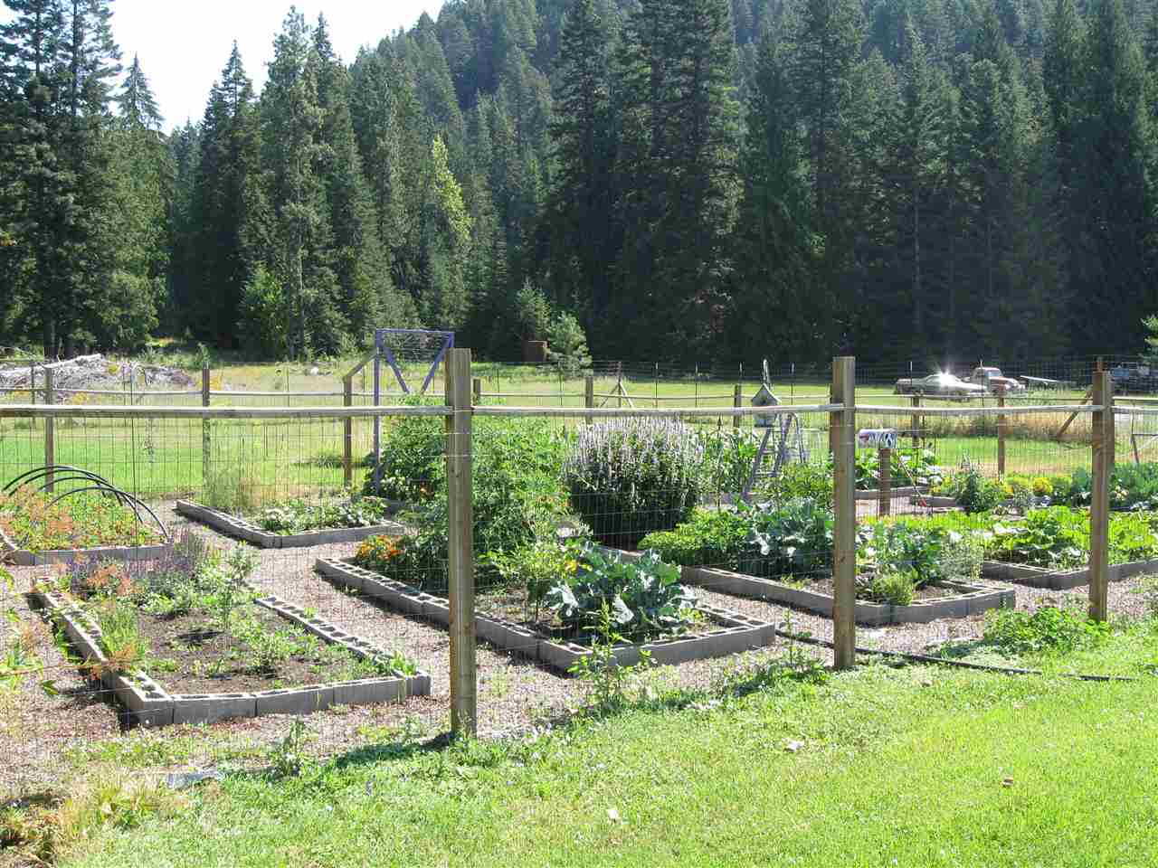 4952 Bead Lake Road Newport, WA 99156 - Photo 16 of 20 Gallery Image 16