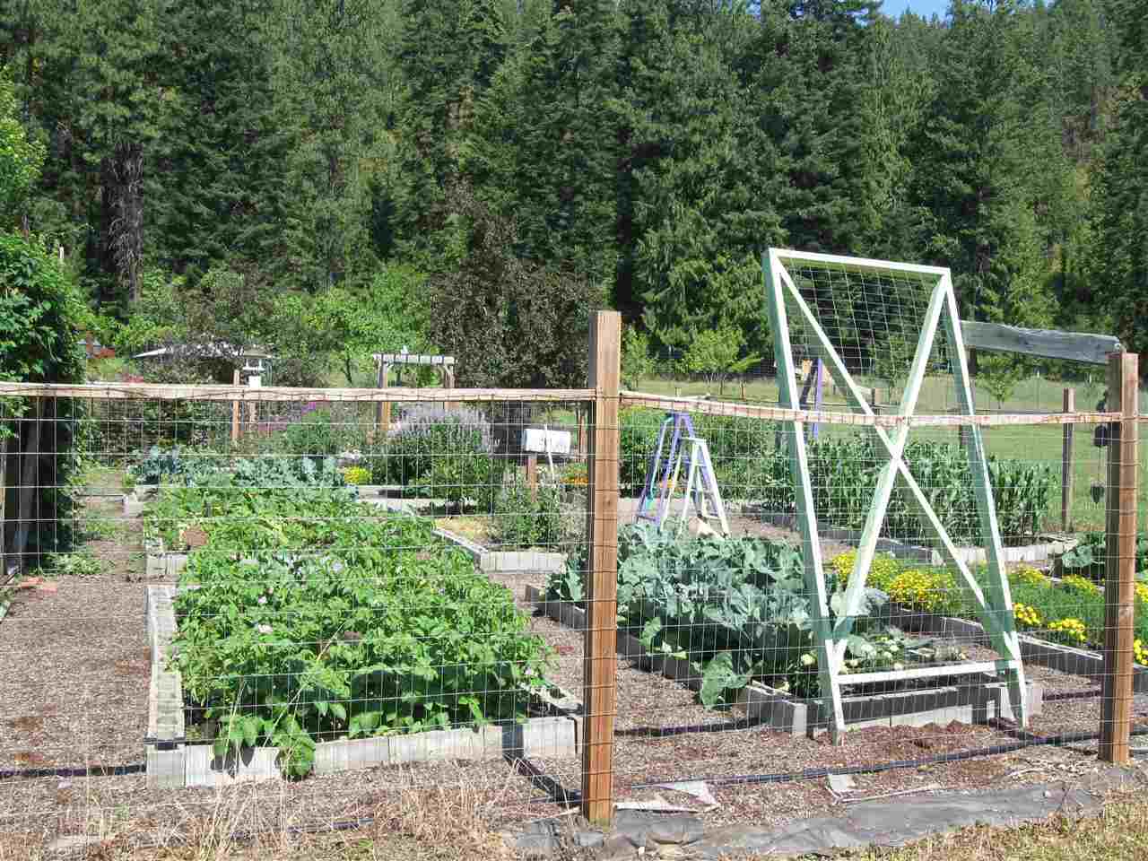 4952 Bead Lake Road Newport, WA 99156 - Photo 17 of 20 Gallery Image 17