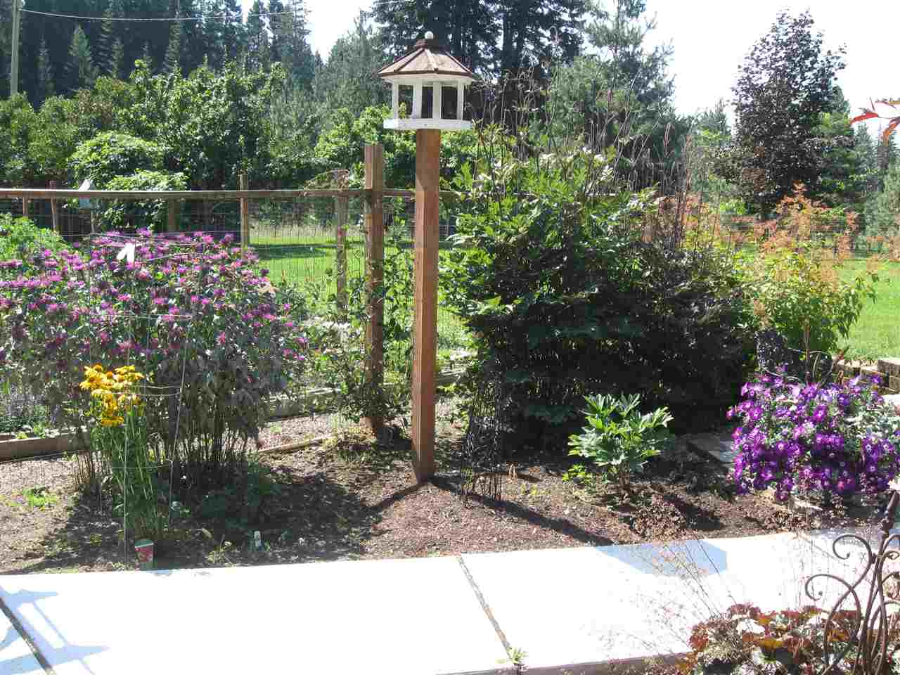 4952 Bead Lake Road Newport, WA 99156 - Photo 18 of 20 Gallery Image 18