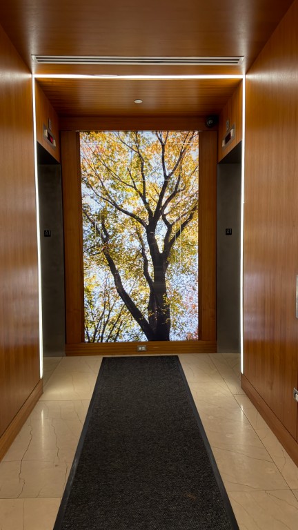 388 Bridge Street, Unit 44D Brooklyn, NY 11201 - Photo 24 of 24 Photo 24