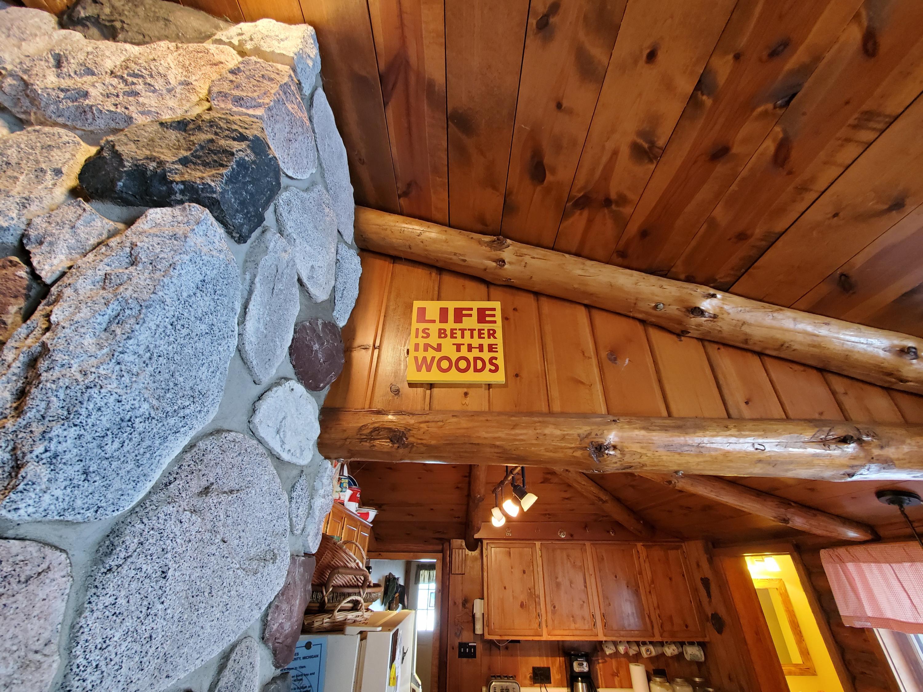 161 Loon Lake Loop Road Rose City, MI 48654 - Photo 19 of 69 Gallery Image 19