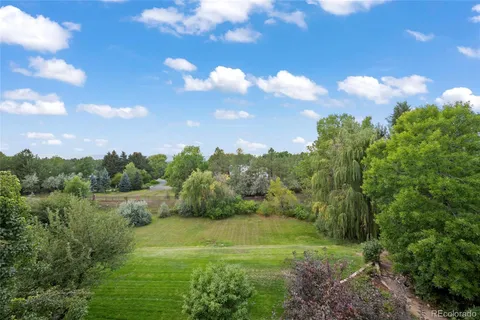 a view of a big yard with large trees