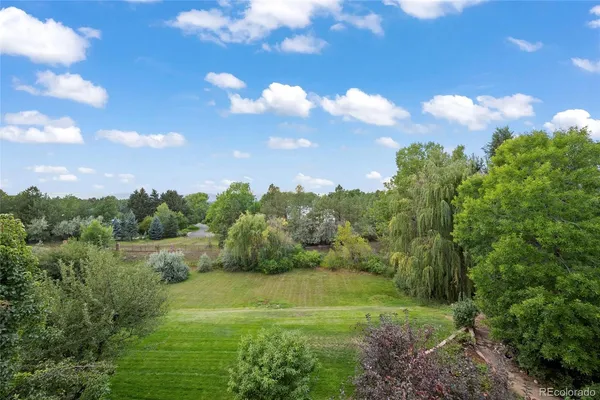 a view of a big yard with large trees