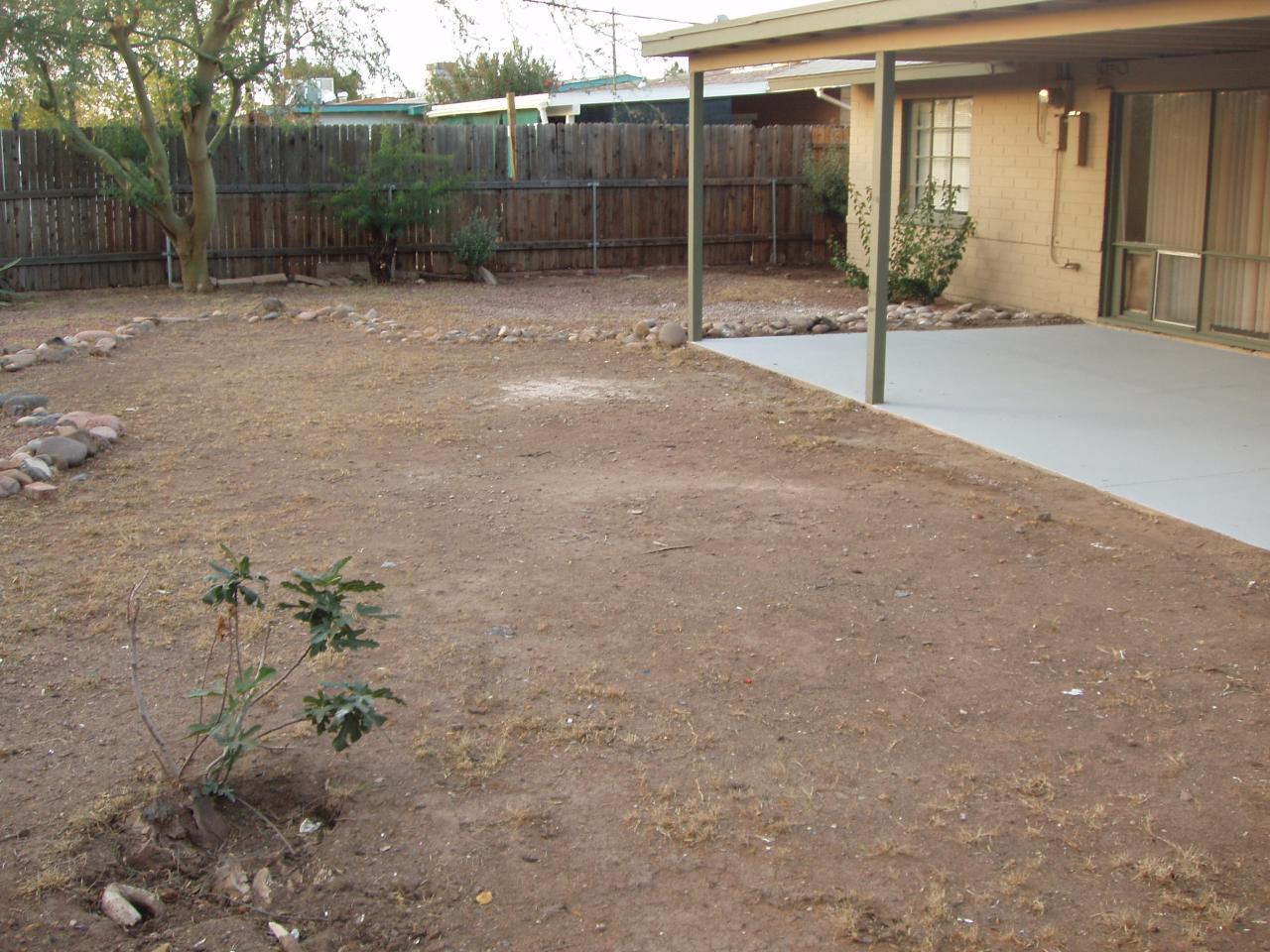 845 West Picadilly Road Phoenix, AZ 85013 - Photo 15 of 17 P1010014