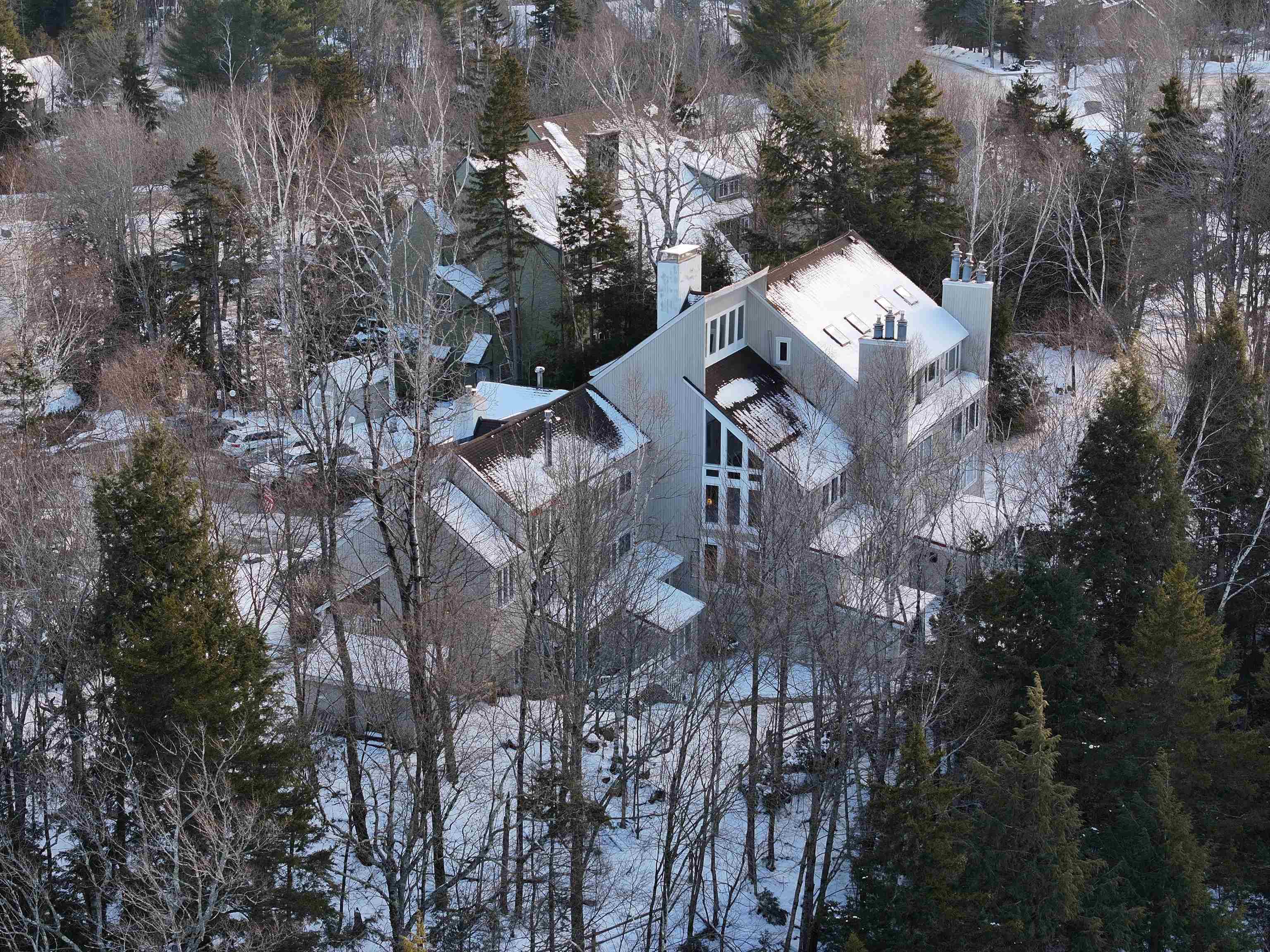46 Packard's Road, Unit 101 WEEK 24 Waterville Valley, NH 03215 - Photo 4 of 52 Gallery Image 4