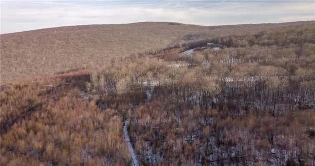 a view of empty space with large trees
