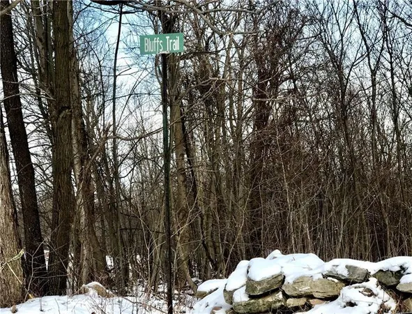 a view of a forest with trees