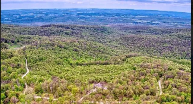 a view of a swimming pool