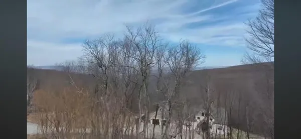 a view of wooden fence and trees