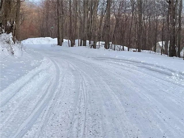 a view of backyard with trees