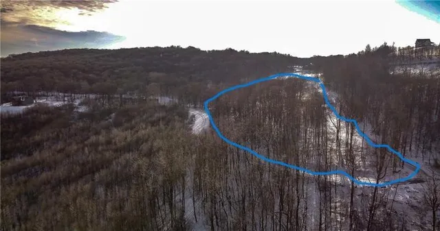 a view of a lush green field