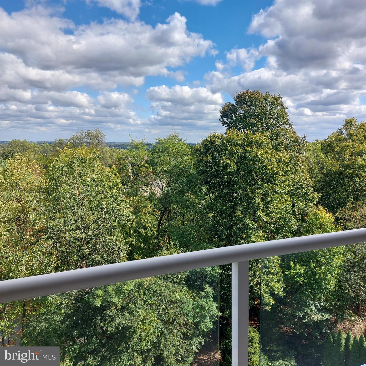 12240 Roundwood Road, Unit 704 Lutherville-Timonium, MD 21093 - Photo 20 of 22 a view of a yard from a balcony