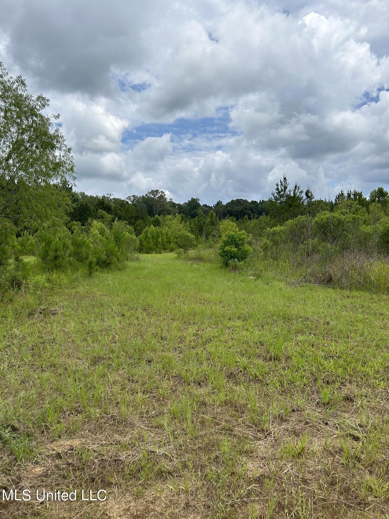 916 White Road Florence, MS 39073 - Photo 11 of 14 White Rd 12