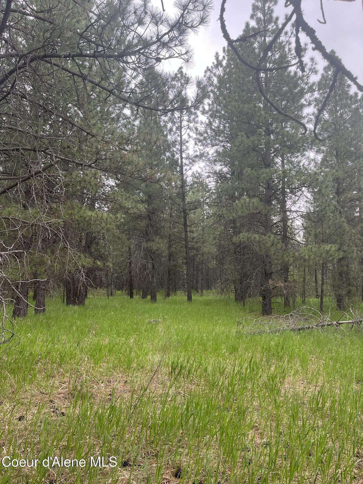 Nna North Sheep Springs Road Athol, ID 83801 - Photo 19 of 19 IMG_5807