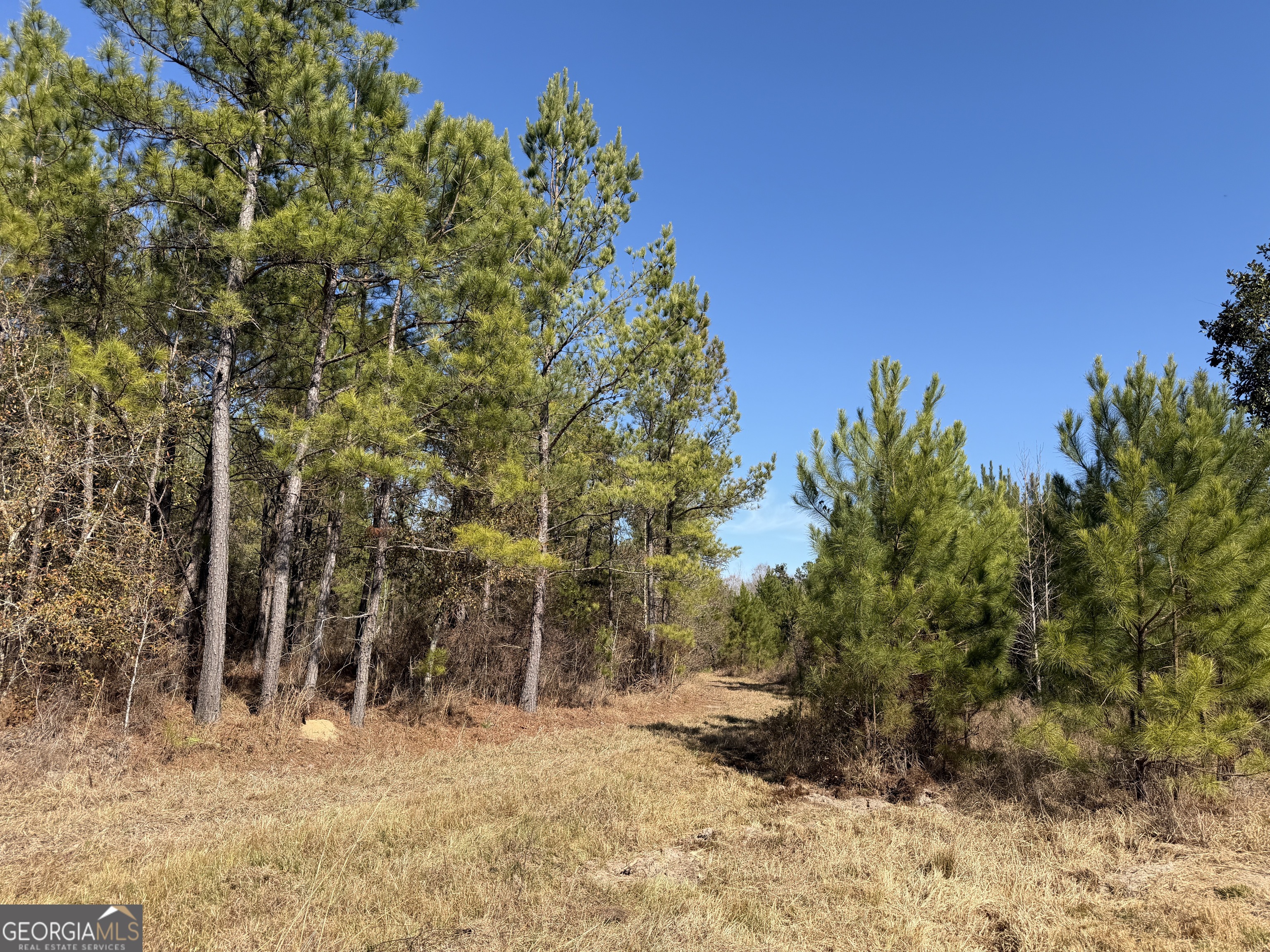 21 Barnes Road Gordon, AL 36343 - Photo 8 of 11