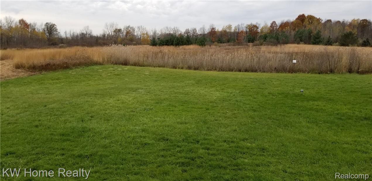 2169 Cove Road Goodells, MI 48027 - Photo 64 of 65 Left Side View Of 10.05 Acre Property From The Patio