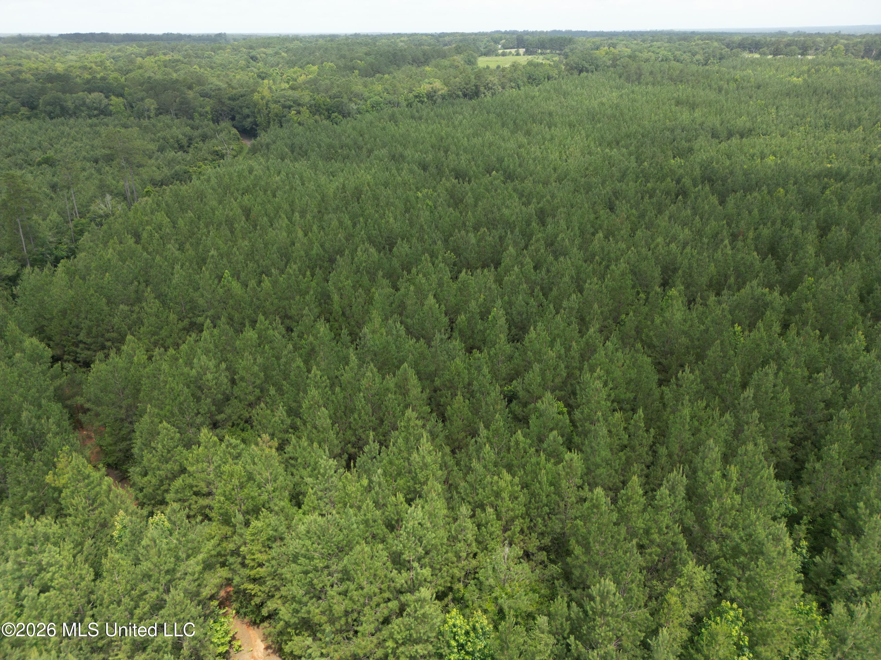 Summit Holmesville Road McComb, MS 39648 - Photo 9 of 29 DJI_0617