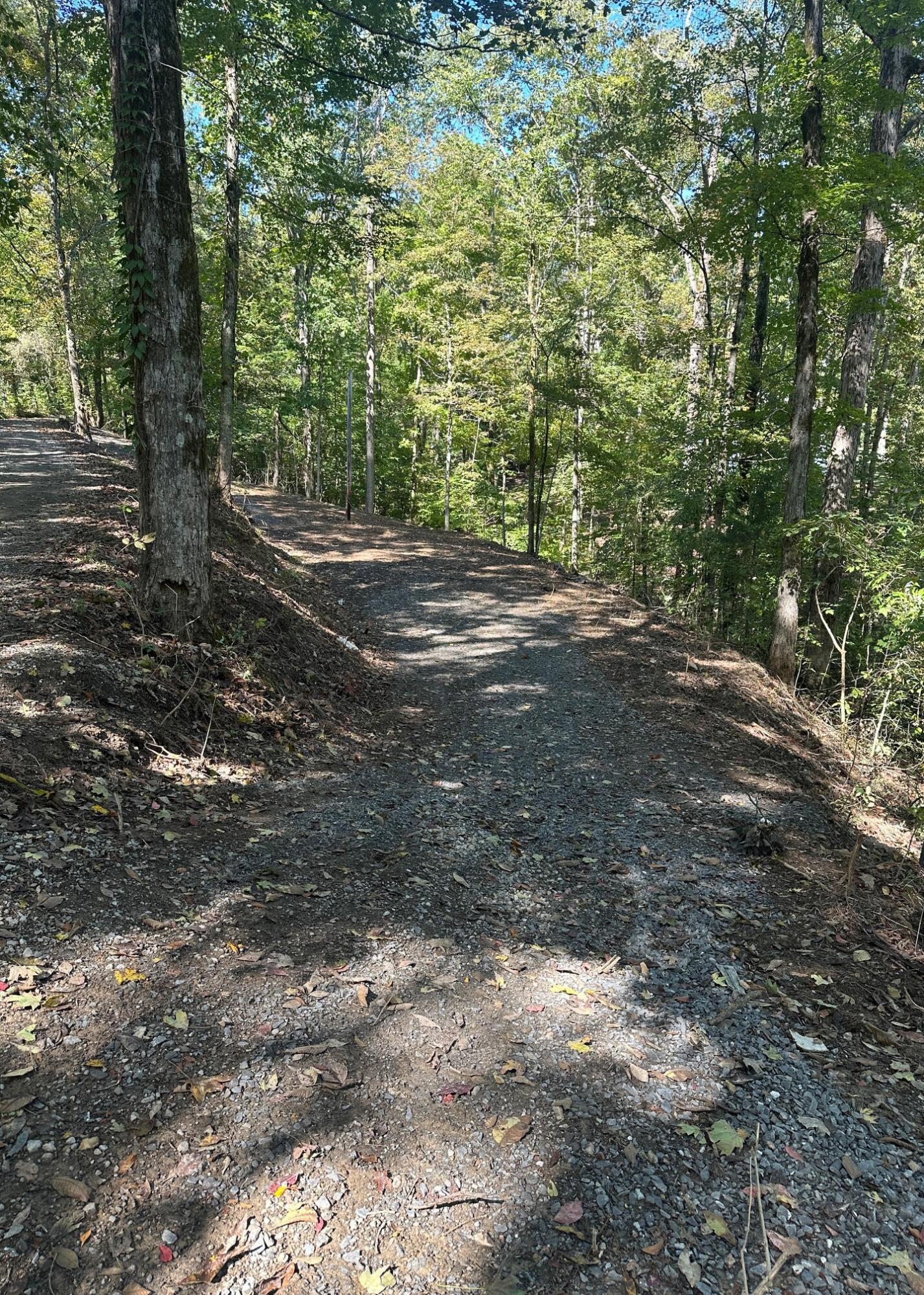 185-282 Sugar 2 Road Nancy, KY 42544 - Photo 1 of 31 East Side Lot